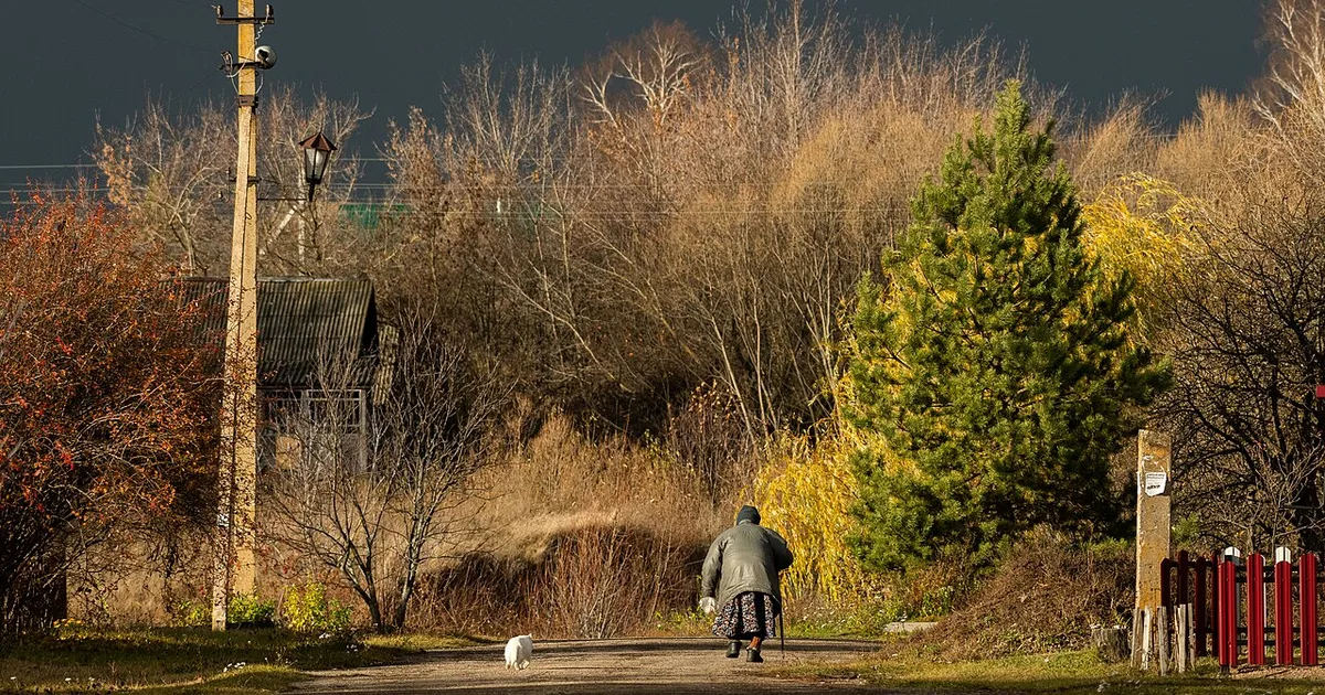 Class Action Settlements for Cat Owners
