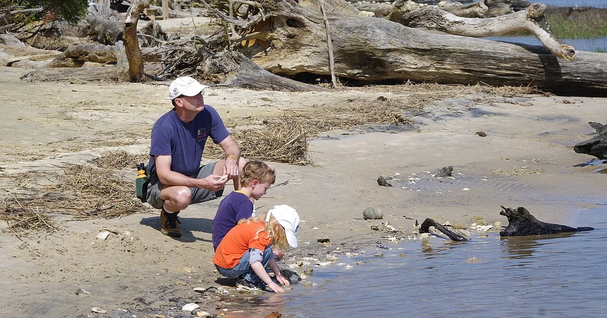 Banking & Finance Class Action Settlements for Dads