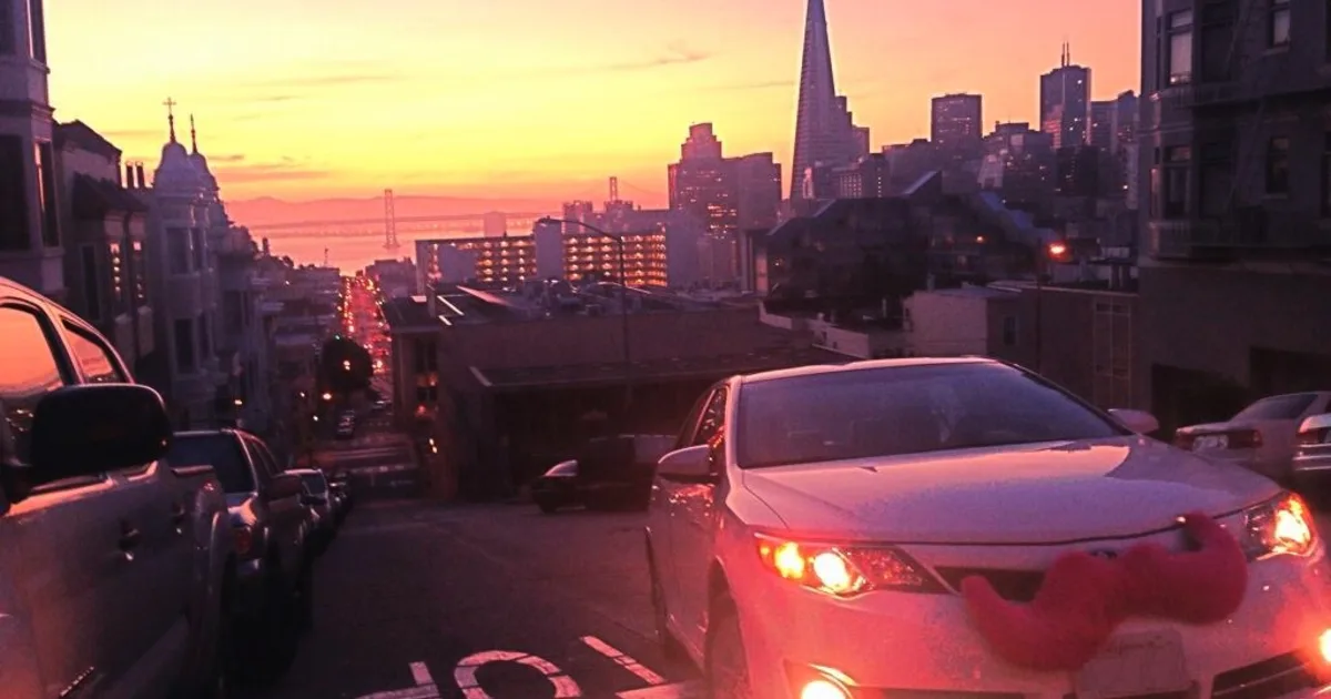 Lyft Pet Products Class Action Lawsuits