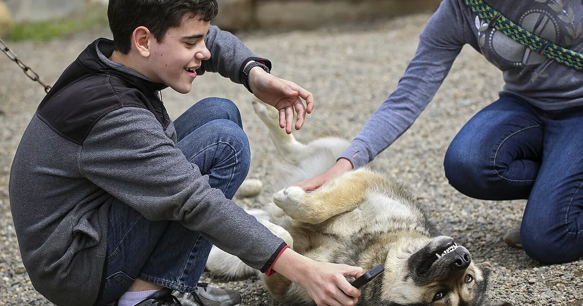 Pet Products Class Action Lawsuits in North Carolina