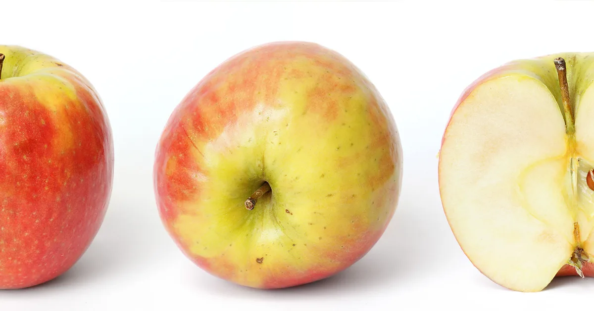 Class Action Lawsuits Against Apple